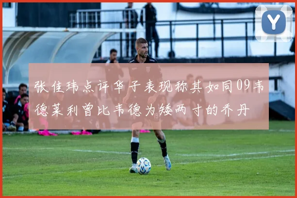 张佳玮点评华子表现称其如同09韦德莱利曾比韦德为矮两寸的乔丹